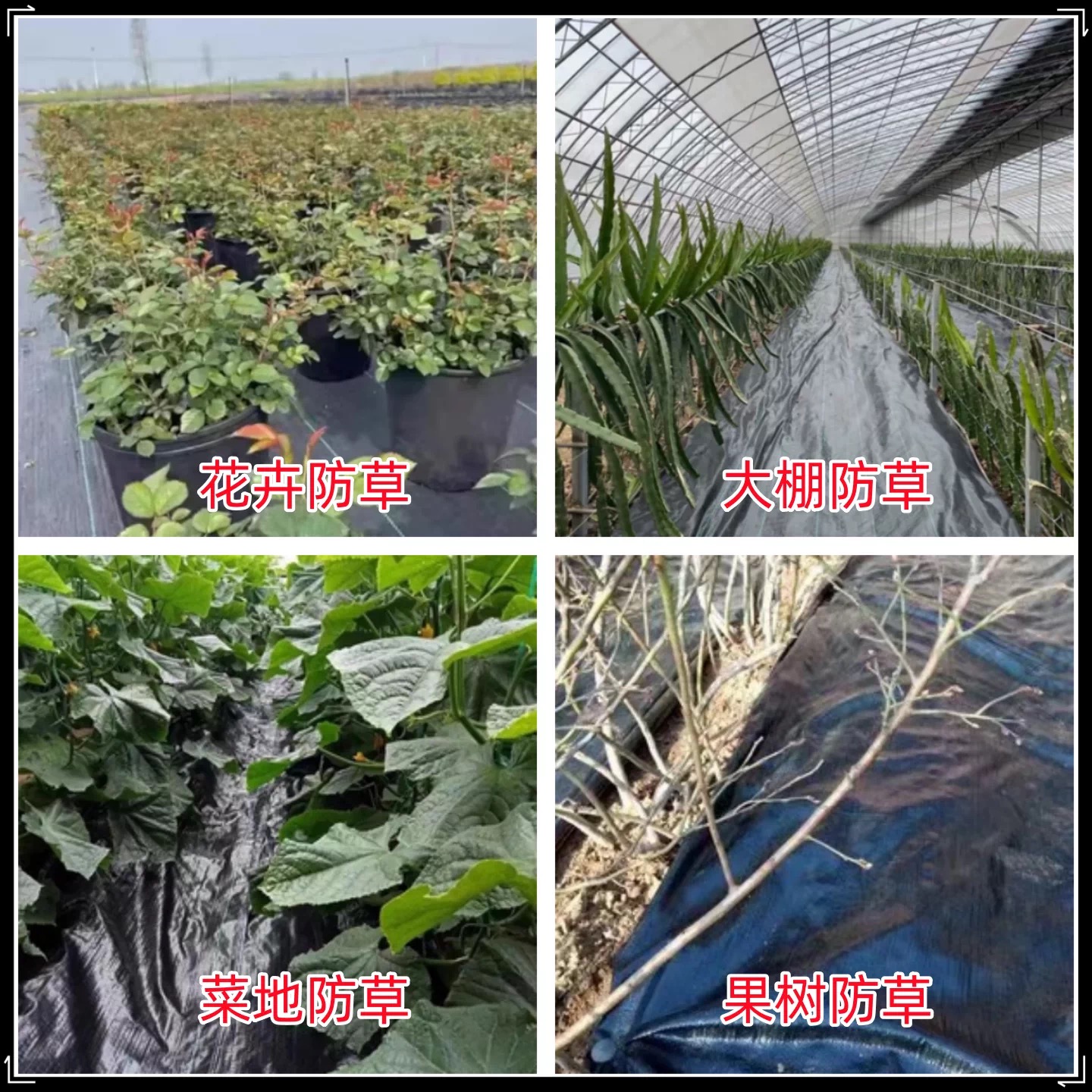安阳市果树反光膜防草布 - 方案