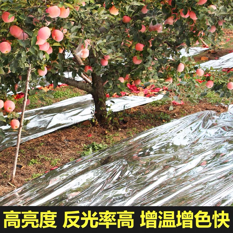 安阳市黑白养殖膜果树反光膜 - 排名